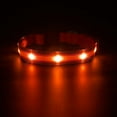 thumbnail image 4 of (4 pack) PcEoTllar Light up Dog Collar, LED Dog Collar Rechargeable, Pet Dog Collars for Large Dogs, Red L, 4 of 8
