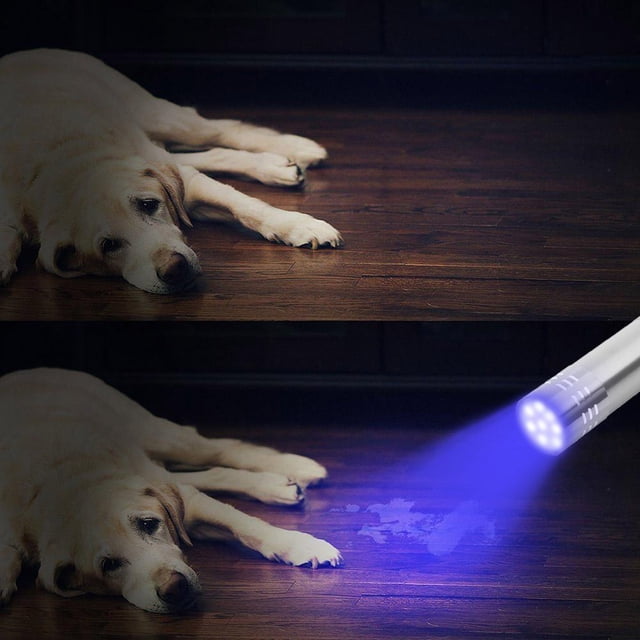 395nm Ultravioleta 9 LED Linterna Luz de detección portátil Antorcha (Plata)