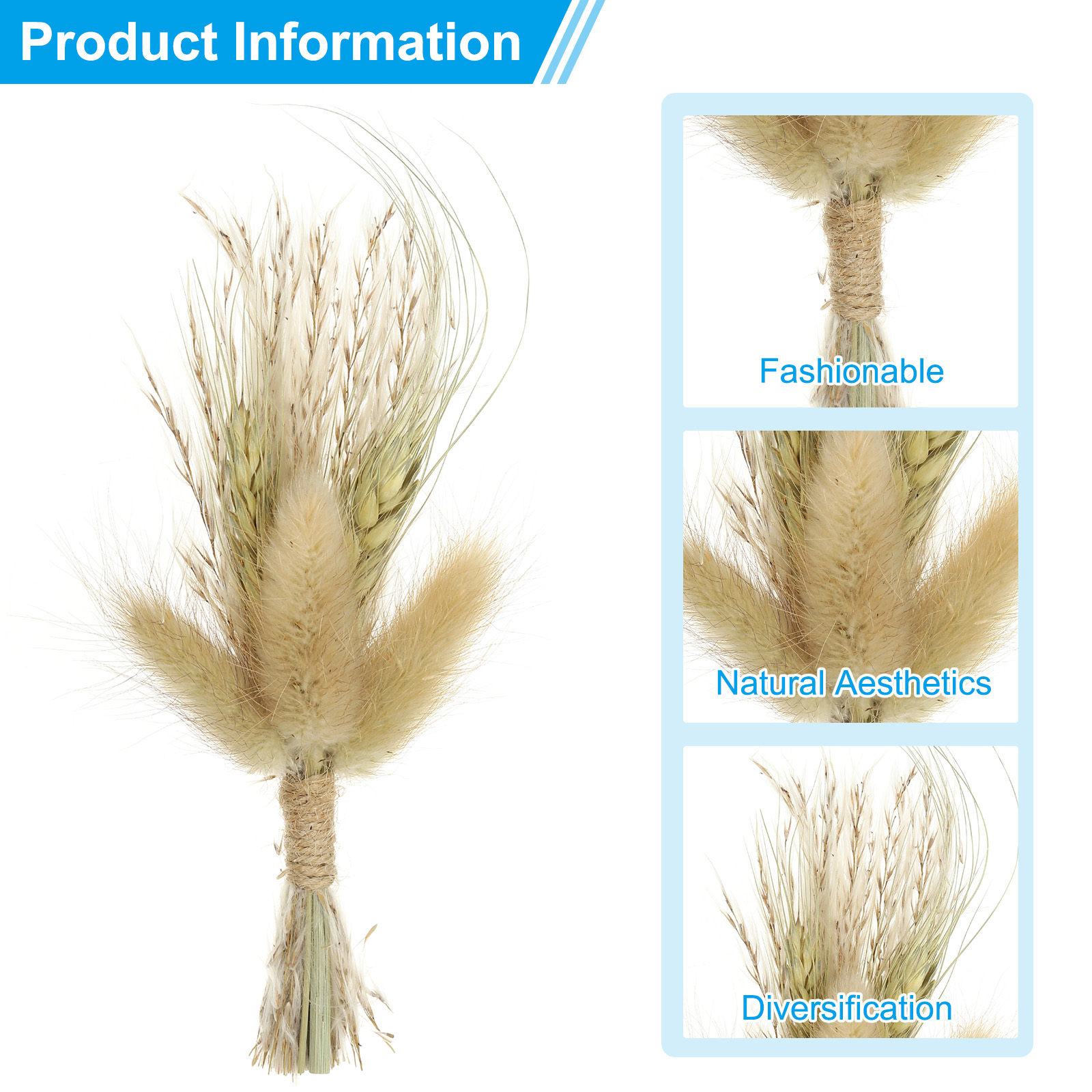 Uxcell 10 Pcs Mini Pampas Grass Dried Flower Bouquet Baby's Breath Boho DIY Gift Brown