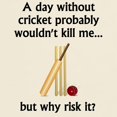 thumbnail image 3 of CafePress - A Day Without Cricket T Shirt - Men's Classic Graphic T-Shirt, 3 of 4