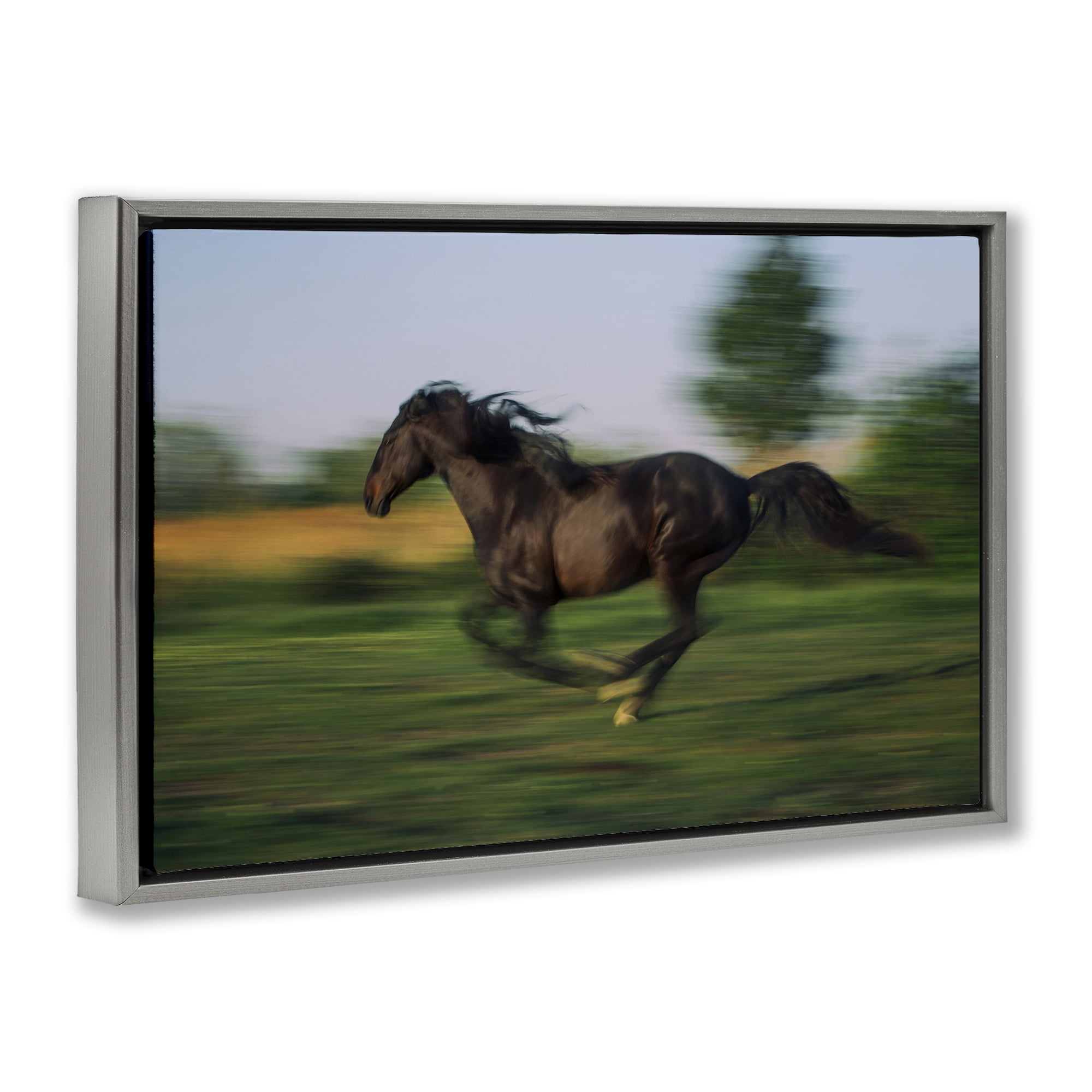 Stupell Industries Dashing Camargue Racehorse Gray Framed Floater Canvas Wall Art, design by Scott Stulberg