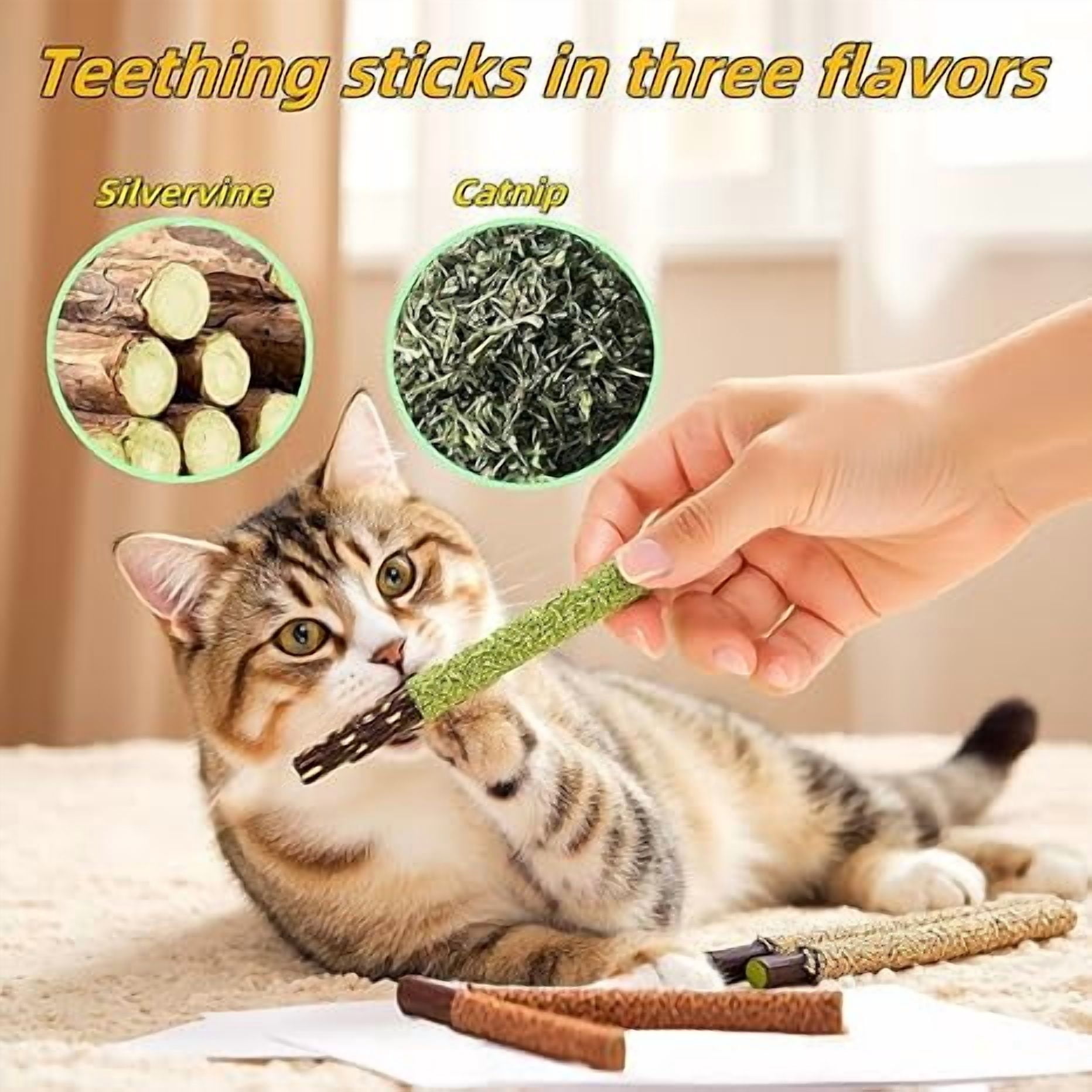 YTSKJ Cat Chew Toys 21PCS Cats Chew Stick for Cleaning Teeth Kitten Rope Silvervine Sticks for Interactive Catnip Toy for Dental Care Self Play