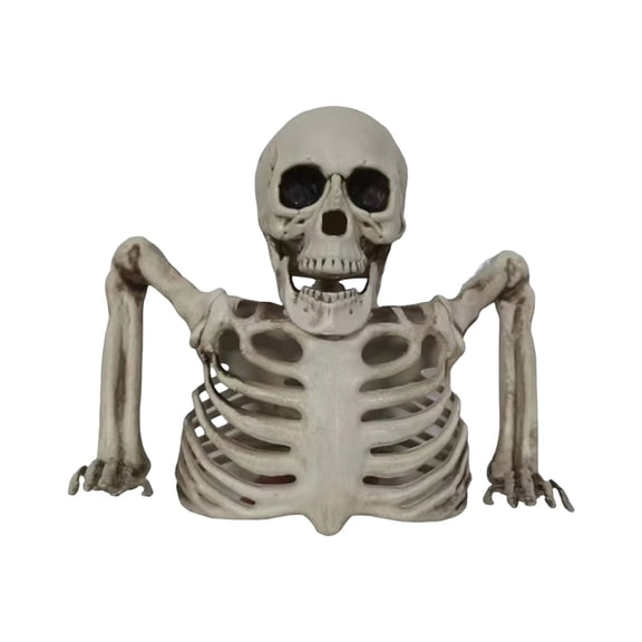 Olilia Halloween Half-Body Skeleton Decoration, Skeleton Half-Body Doll Desktop Decoration, Halloween Horror Decoration, Gothic Style Home Decoration, Indoor And Outdoor Decoration.