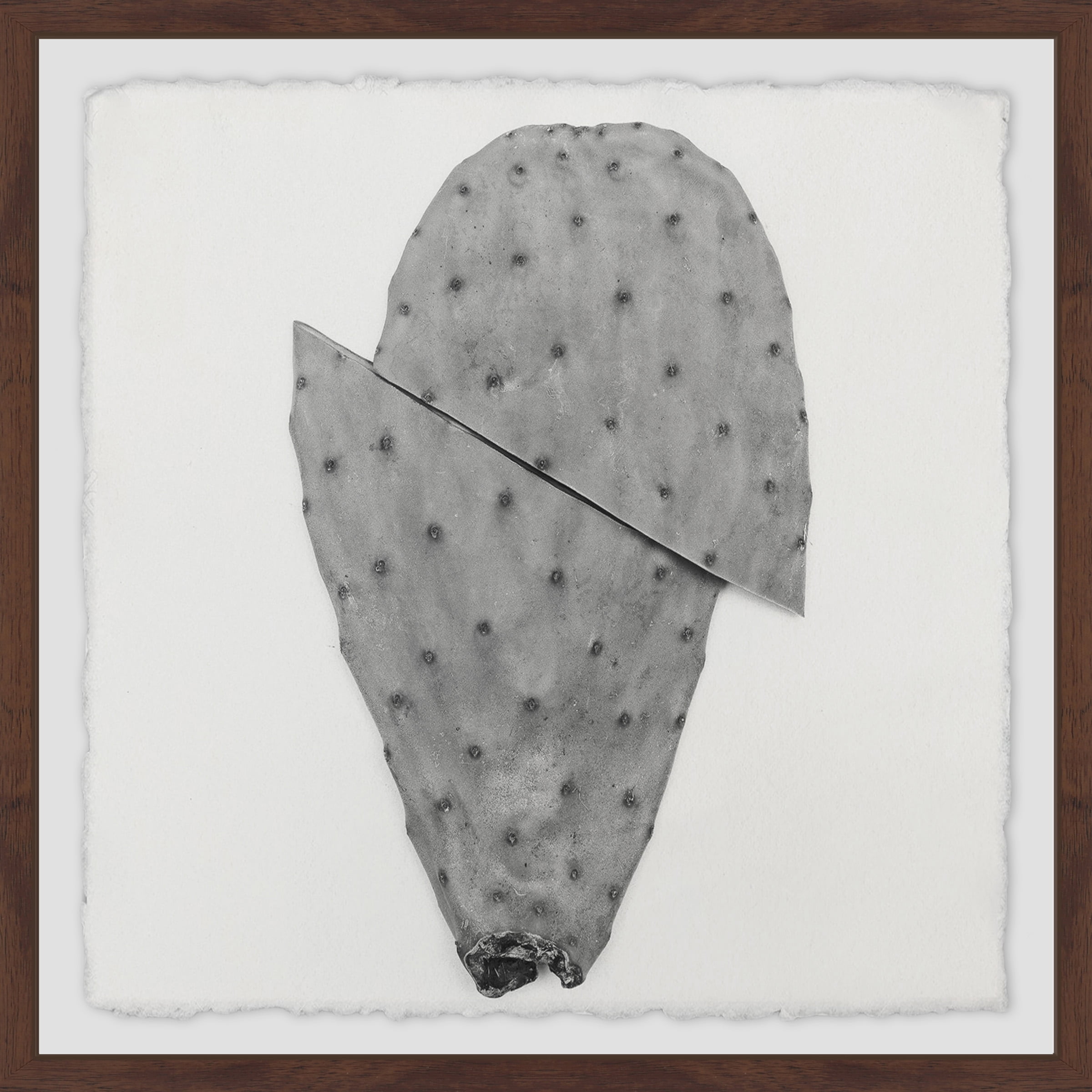 Sliced Cactus Framed Painting Art Print, 12.00" x 1.50"