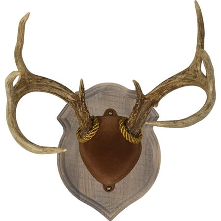 Walnut Hollow Country Deluxe Antler Display Kit Rustic Finish for Whitetail Deer & Mule Deer (Best Deer Antler Mounting Kit)