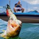 thumbnail image 5 of Swimbait multiarticulado con anzuelo, cebo para camarones, cebo duro muy realista, 5 of 7