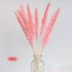 thumbnail image 3 of 15 piezas de flores secas para jarrón, ramo, arreglo floral para decoración bohemia Rosa, 3 of 9