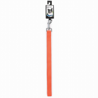 Lead,Nylon 1"X48" Neon Org
