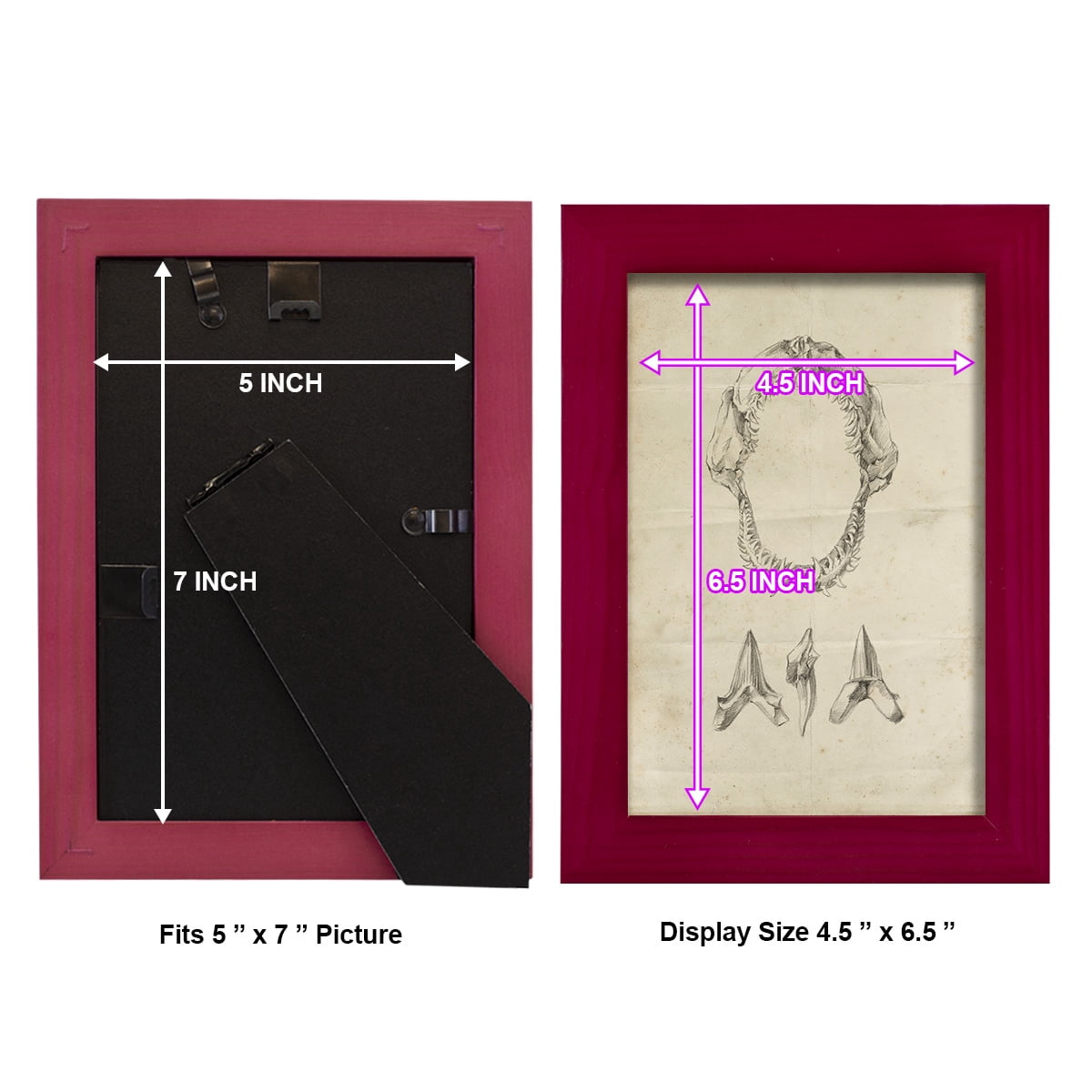 Shark Study I - Framed Print w/glass - Cherry Red