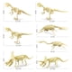 thumbnail image 4 of 7 Piezas Dinosaurio Esqueleto Juguetes Regalo Educativo Dino Huesos Figuras Surtido Huesos Figuras Juguetes Modelo Juguetes iños Regalo yotijar esqueleto de dinosaurio, 4 of 10