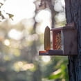 thumbnail image 5 of Pennington Dual Squirrel Feeder, 1.5 Pound Seed Capacity and 1 Cob Holder, Cedar, 9.75"x9"x7", 5 of 16