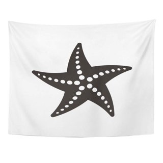 Real Starfish Decor - 10 pack Assorted White Starfish 4-5 - Starfish for  Crafts - White Starfish Décor - Large Starfish - Craft Starfish Bulk - Star  Fish Decorations 