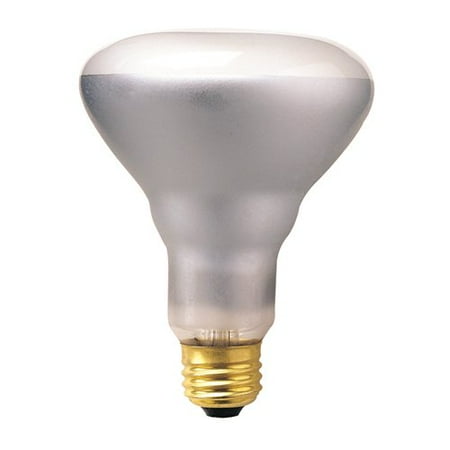 Bulbrite Industries 65W 130-Volt (2700K) Incandescent Light Bulb (Set of 14)