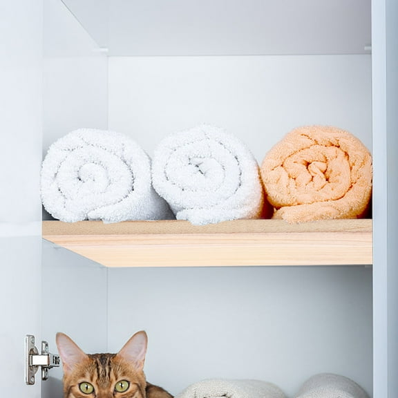 Pawsdot Sturdy Wooden Plank for DIY Projects Multiuse Craft Board Wood for Home Shelving 24 x 48 Inches