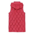 thumbnail image 5 of HTNBO Women Puffer Vest Sleeveless Hooded Quilted Vest Lightweight Stand-up Collar Winter Padded Gilet Outerwear, 5 of 7