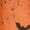 19# Orange, variant on Halloween Shirts for Men Short Sleeve T-Shirts Pumpkin Bat All Over Pumpkin Print Novelty Spooky Holiday Tops Saffron 4XL
