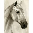 thumbnail image 3 of Popp, Grace 12x14 Black Modern Framed Museum Art Print Titled - Freckled Pony II, 3 of 5
