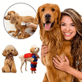 thumbnail image 3 of Eléctrico Clipper para Perros y Gatos,Rasuradora para Perros USB Recargable Multifuncional con Peine Ajustable, Cortadoras de Pelo para Mascotas para Pelo Rizado y Largo, Bajo Ruido y Vibración, 3 of 10
