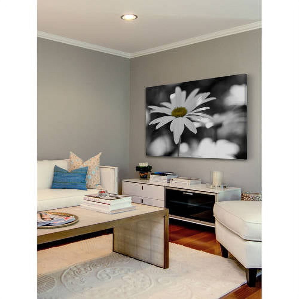 Marmont Hill "Sun Speckled Daisy" Painting Print on Canvas