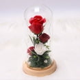 thumbnail image 3 of PENGXIANG Valentine‘s Day Gift LED Glow-In-The-Dark Glass Cover Rose Is A Unique Gift, 3 of 4