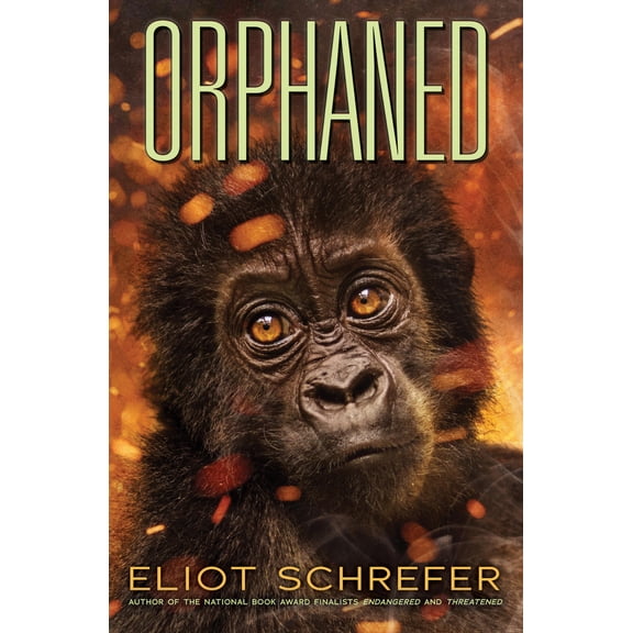 Pre-Owned Orphaned (Ape Quartet #4): Volume 4 (Paperback) 1338608312 9781338608311