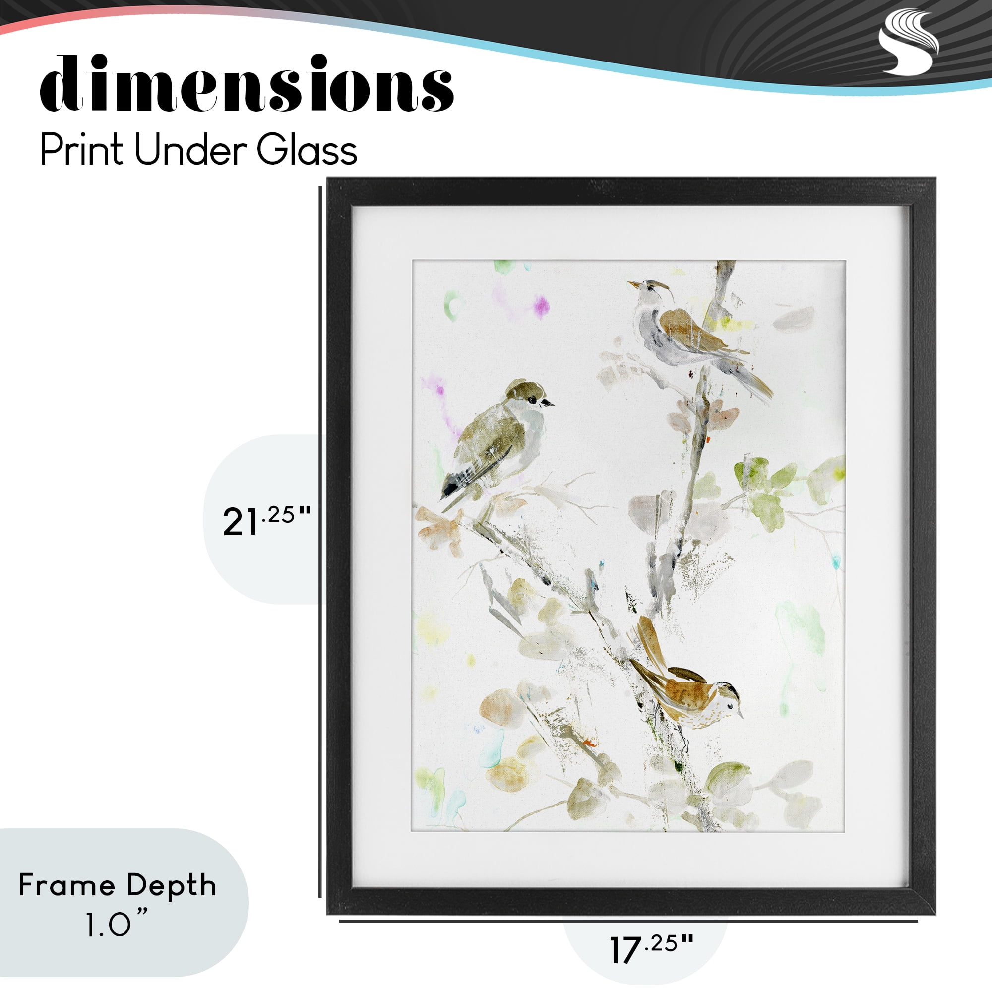 Stupell Industries Delicate Feathers Trio Black Framed Print Under Glass, design by Lorenzo Collective