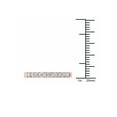 thumbnail image 4 of 1/2 Carat T.W. Diamond 14kt Rose Gold Wedding Band, 4 of 4