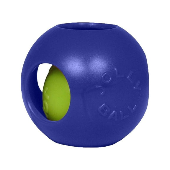 Jolly Pets Plastic Teaser Ball Dog Toy, 10 in, Blue