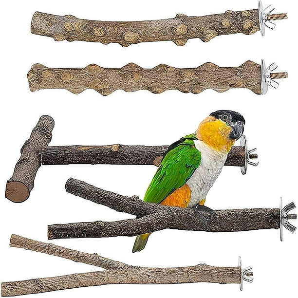 Set of 5 Natural Wood Bird Perch Accessories for Parakeets, Claws