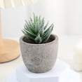thumbnail image 4 of Small Fake Plants Realistic Lifelike Artificial Potted Succulents, Mini Durable Plastic 2.7x2.6x2.6 in with Pot Faux Plants for Home Office, Kitchen, and Indoor Table Decor, 4 of 6