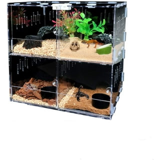 Hermit crab carrier 2025