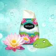 Renuzit Gel Air Freshener Cone, After the Rain, 12 Count