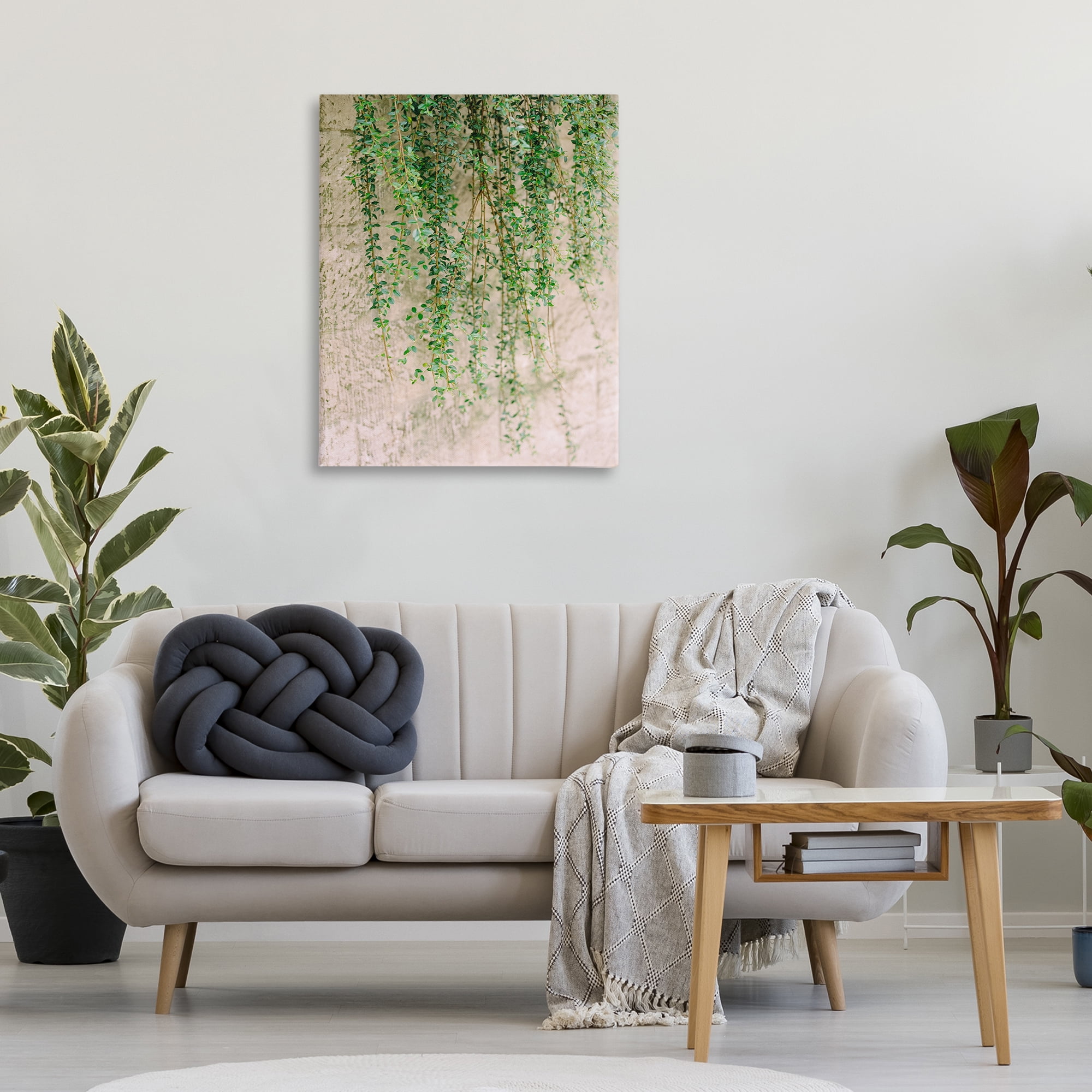Stupell Industries Hanging Ivy Vines Botanical & Floral Photography Gallery Wrapped Canvas Art Print Wall Art, 30 x 40
