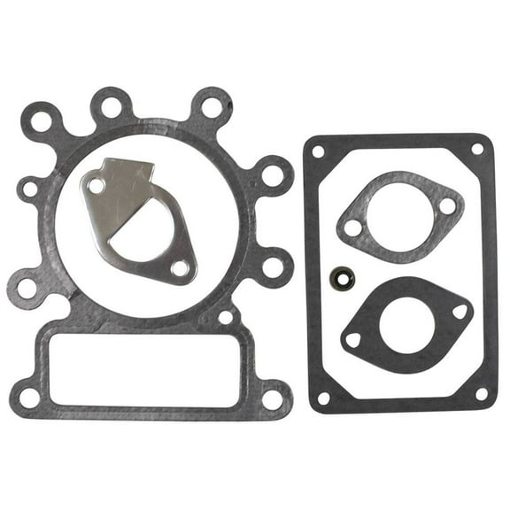 Stens Gasket Set 480-053 for Briggs & Stratton 210702, 212702 796189