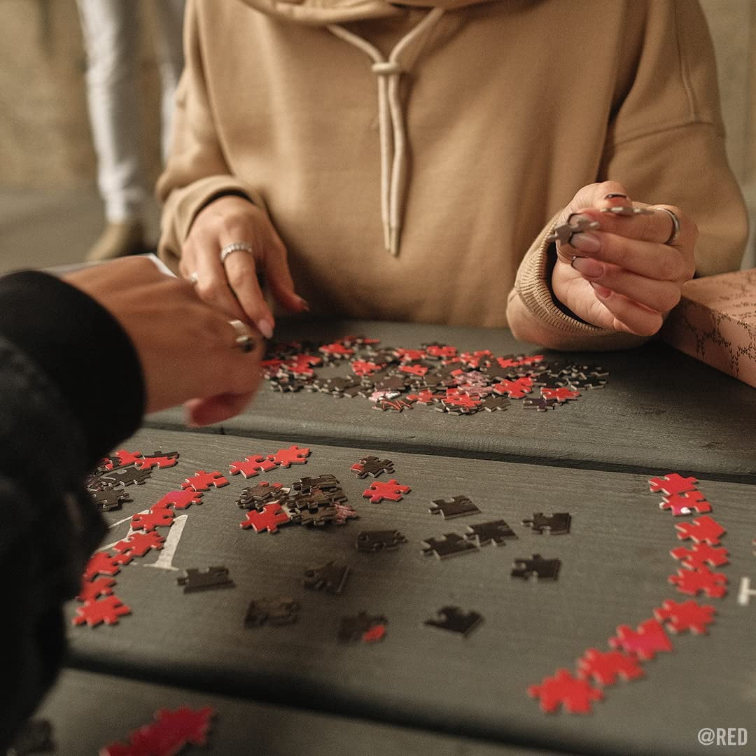 Buffalo Games Lady in Red - 1000 Pieces Jigsaw Puzzle