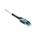 thumbnail image 5 of Panduit OM4 2f 2mm PC OFNP LC Uni /LC Uni A-B Opt IL 3m - 9.84 ft Fiber Optic Network Cable for PC, Network Device - First End: 1 x LC Uniboot - Second End: 1 x LC Uniboot - Patch Cable - OFNP - Aqua, 5 of 5