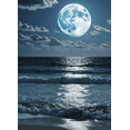 thumbnail image 4 of LUUFILx Ocean Moon Night Sky Themed Background Backdrop Banner Party Decorations for Beach Parties Photography Props Nighttime Events, 4 of 8