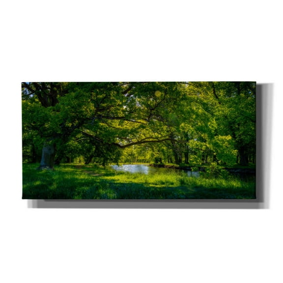 Cortesi Home 'Summer Morning In The Park' by Nicklas Gustafsson Canvas Wall Art, 24"x12"