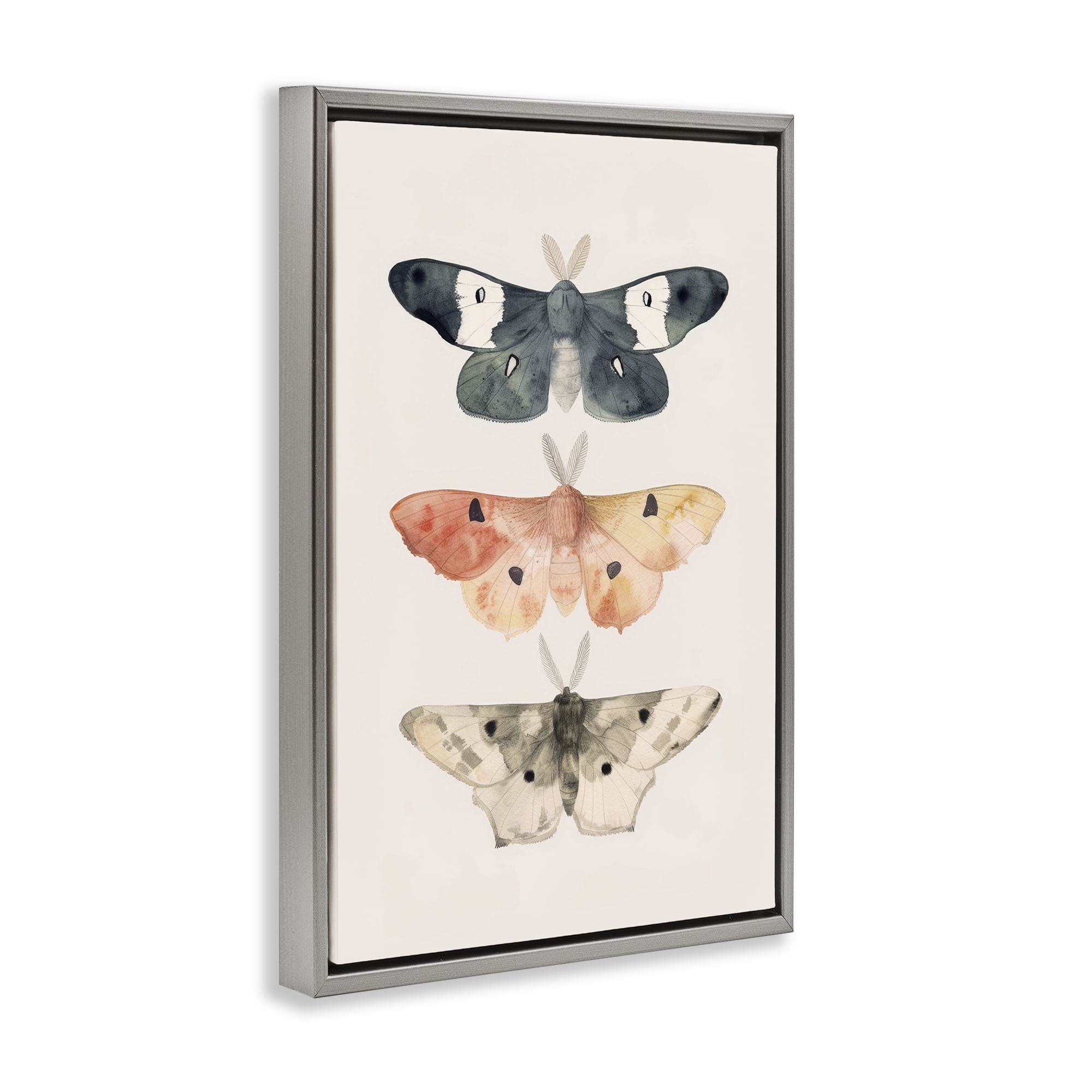 Stupell Industries Watercolor Moth Trio Animals Painting Gray Floater Framed Canvas Art Print Wall Art, 21 x 31
