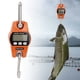 thumbnail image 4 of Báscula Digital ANGGREK 300 Kg Industrial LCD Portátil, 4 of 8