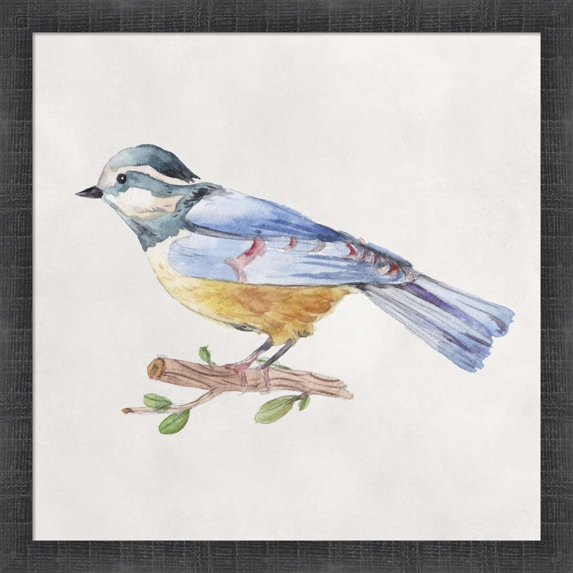 Great Art Now Bird Sketch V by Melissa Wang, Framed Wall Art, 17.5W x 17.5H