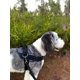 thumbnail image 5 of Chaleco para mascotas ShawnCo Essential sin tirones, reflectante, XS, 5 of 5