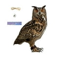 thumbnail image 3 of ACDANC Owl to Scare Birds & Squirrels - Realistic Bird Scare Owl Decoy with Reflective Eyes - Outdoor Hanging Deterrent for Garden, Patio & Fruit Tree Protection, 3 of 7