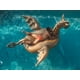 thumbnail image 5 of Flotador inflable para piscina Luxy Float Giant, 103 cm, diseño de dragón dorado, 5 of 6