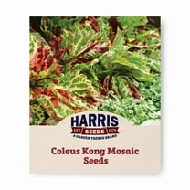 Harris Seeds Coleus Kong Mosaic Seed, Gardens and Bedding