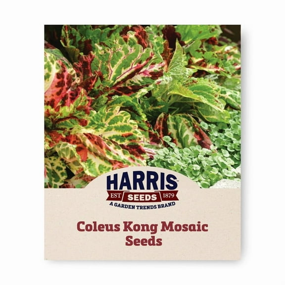Harris Seeds Coleus Kong Mosaic Seed, Gardens and Bedding