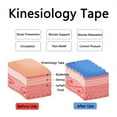 thumbnail image 3 of tooloflife Kinesiology Tape for Muscles/Joints Any Activity Immediate Pain Relief Waterproof, 3 of 7