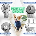 thumbnail image 2 of HQREA Breathable Dog Recovery Suit for Male/Female, Cone E-Collar Alternative After Surgery, 2 of 6
