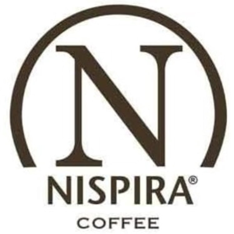 Nispira Iced Coffee Cold Brew Drip Coffee Maker Stainless Steal Gold , 400mL, Borosilicate Glass