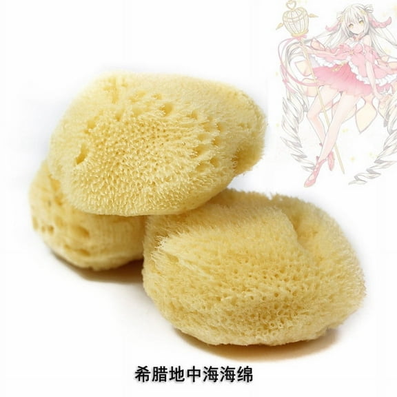 WEUVEB Reusable Natural Sea Sponge for Painting High Water Absorption Tool